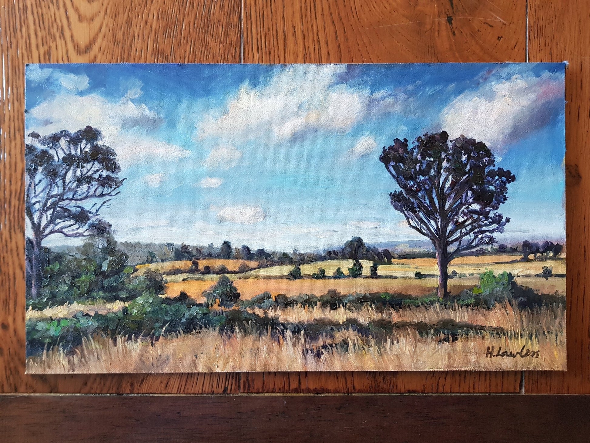 Out the back of Mittagong | Original Painting Original Paintings Harriet Lawless Artist australia