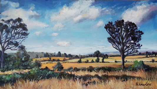 Out the back of Mittagong | Original Painting Original Paintings Harriet Lawless Artist australia